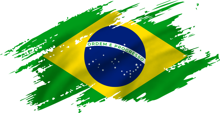 Realistic Brazil Flag